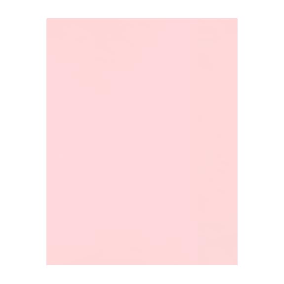 Mua LUXPaper 8.5 x 11 Cardstock, Letter Size, Candy Pink, 100lb. Cover  (183lb. Text), 50 Qty trên  Mỹ chính hãng 2024