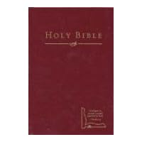 HCSB Drill Bible (Small Edition, Burgundy Hardcover) HCSB Drill Bible (Small Edition, Burgundy Hardcover) Hardcover