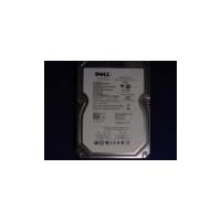 Dell 1 TB HDD 3,5 Inch 7,2K, G7X69