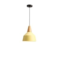 Modern Minimalist Restaurant with Small Chandelier Solid Wood Single-Head Iron Ceiling Pendant Lamp Height Adjustable E27 Socket Voltage 110~240V Flush Mount Light (Color : Yellow)
