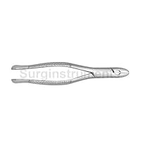 SurgicalOnline Dental Extracting Forceps Dental Surgical Instruments 99C