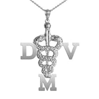 NursingPin - Doctor of Veterinary Medicine DVM Necklace in Silver
