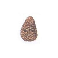 Rasmussen Pine Cone - 4-Inches - Medium