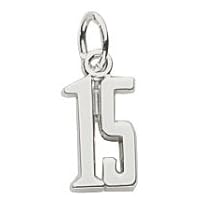Rembrandt Charms Number 15 Charm