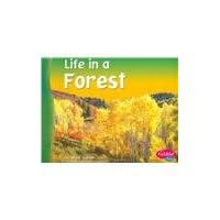 Life in a Forest (Pebble Plus: Living In A Biome) Life in a Forest (Pebble Plus: Living In A Biome) Paperback Library Binding