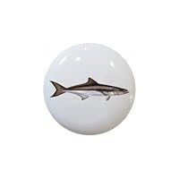 Cobia KNOB - Realistic Fish Series - 1.5