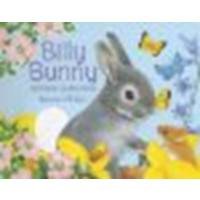 Billy Bunny and the Butterflies by Pledger, Maurice [Silver Dolphin Books, 2013] Board book [Board book] Billy Bunny and the Butterflies by Pledger, Maurice [Silver Dolphin Books, 2013] Board book [Board book] Hardcover Board book