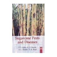 Sugarcane Pests And Diseases Sugarcane Pests And Diseases Hardcover
