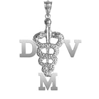 NursingPin - Doctor of Veterinary Medicine DVM Veterinarian Charm in Silver