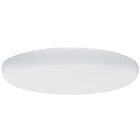 Lithonia Lighting DFMR19 M6 Diffuser for 19-Inch Low Profile Round Fluorescent Flush Mount , White