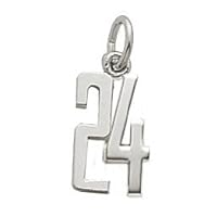 Rembrandt Charms Number 24 Charm