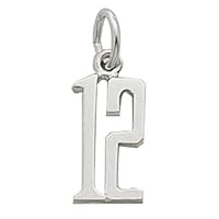Rembrandt Charms Number 12 Charm