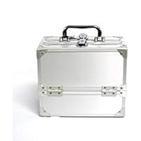 Silver Aluminum Hard Shell Cosmetic Organizer Case Beauty Box