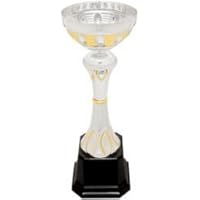 Decade Awards Cup Trophy, Silver and Gold - 9.75 Inch Tall | Metal Cup Corporate Award - Engraved Plate on Request
