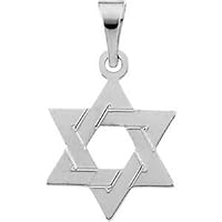 14k White Gold Religious Judaica Star of David Pendant Necklace 14x12mm Jewelry for Women