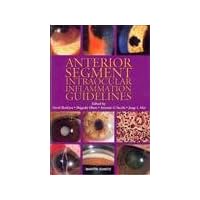 Anterior Segment Intraocular Inflammation Guidelines Anterior Segment Intraocular Inflammation Guidelines Hardcover