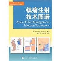 Analgesic injection mapping - version 2(Chinese Edition)