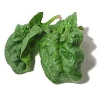 100 Heirloom Bloomsdale Long Standing Spinach Seeds