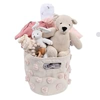 Organic Gift Basket for Baby Girl