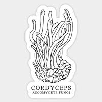 Sticker Vinyl Cordyceps Ascomycete Fungi - Stickers Vinyl Laptop Decal Water Bottle Sticker, Funny Sticker, Gift Sticker…5315