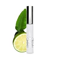 LIP INK Vegan Flavored Lip Shine Moisturizers - Key Lime