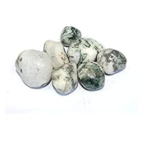 Jet New Authentic Tree Agate Tumbled Stone (ONE Piece) Attractive Genuine Approx 20-30 Grams Energized Stones (Tree Agate)