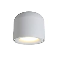 Modern LED Wall Mounted Downlight Ceiling Lamp Aisle Ceiling Lamp Cob Nordic Spotlight Spotlight Living Room Free Opening Lamp Single Spotlight Black Fittings (Color : White)