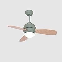 Modern Led Ceiling Fans with Lights and Remote Control Mute 6 Speeds Remote Fan Ceiling Light Dimmable Flush Mount Living Room Ceiling Fan Light Noiseless/Green