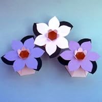 Blooming Favor Boxes, White