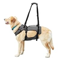 Coodeo Dog Lift Harness, Support & Recovery Sling, Pet Rehabilitation Lifts Vest Adjustable Breathable Straps for Old, Disabled, Joint Injuries, Arthritis, Paralysis Dogs Walk (XLarge)