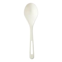 100% Compostable Spoons by World Centric, Made from TPLA, 6