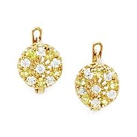 14k Yellow Gold November Yellow CZ Flower Leverback Earrings Measures 13x9mm Jewelry for Women