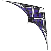 WindNSun Stunt Kites - Intro, Travel, and Competition Dual Line 2-Control Kites for Tricks, Acrobatic Stunts, and Syncronized Flying