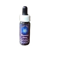 Morning Glory Dropper, 0.25 oz by Flower Essence Services (Pack of 3)