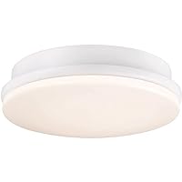 Kute LED Ceiling Fan Light Kit - Matte White 5.51 inch
