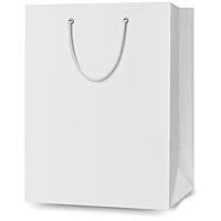 Vibrant Solid Glossy Medium Bag - 9.5