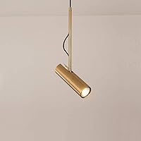 Novelty Wall Lamp, Nordic Style Chandelier Personality Modern Minimalist Restaurant Bar Clothing Store Decoration Background Wall Spotlight Bedside Lamp (20 3.5 3.5Cm),Gold