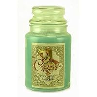 Eucalyptus Lavender Courtneys Candles Maximum Scented 26oz Large Jar Candle