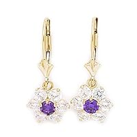 14k Yellow Gold February Purple CZ Flower Drop Leverback Earrings Measures 25x10mm Jewelry for Women
