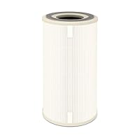Conair Air Purifier for Medium Sized Rooms Replacement Filter for Model AP04