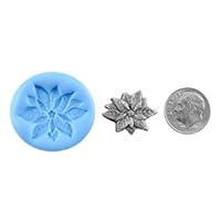 Cool Tools - Antique Mold - Poinsetta