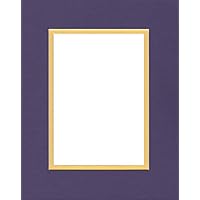 Pack of (2) 16x20 Double Acid Free White Core Picture Mats Cut for 11x14 Pictures in Purple and Yellow