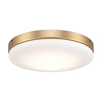 Craftmade Mondo 9.32 in. 1-Light Satin Brass Finish Integrated LED Ceiling Fan Light Kit with Frost Acrylic Lens