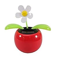 Solar Powered Dancing Flower, Lily, Rose, Sunflower, Petunia Office Desk & Car Decor (White Daisy Red Pot)