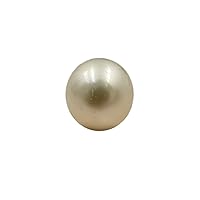 15.5 MM (Approx.) Size AA Luster Loose Pearl White-Cream Color Near Round Shape Pearl Beads Natural Real South Sea Pearl Personalize Gift