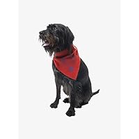 Insect Repellant Dog Bandana for Protecting Dogs from Fleas, Ticks, and Mosquitoes, Paisley, Red