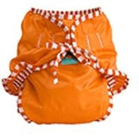 Kushies Reusable Cloth Swim Diaper Bottoms for Boys or Girls (Large, Orange)