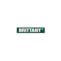 Brittany Street Sign Great Gift Idea 100's of Names to Choose from!!!