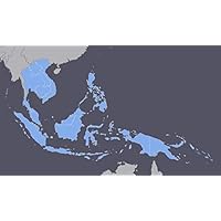 Southeast Asia GPS Map for Garmin Devices