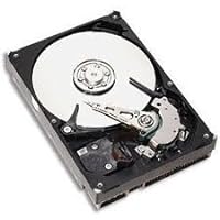 HP/Compaq 335176-001 40GB Internal ATA / IDE Hard Drives